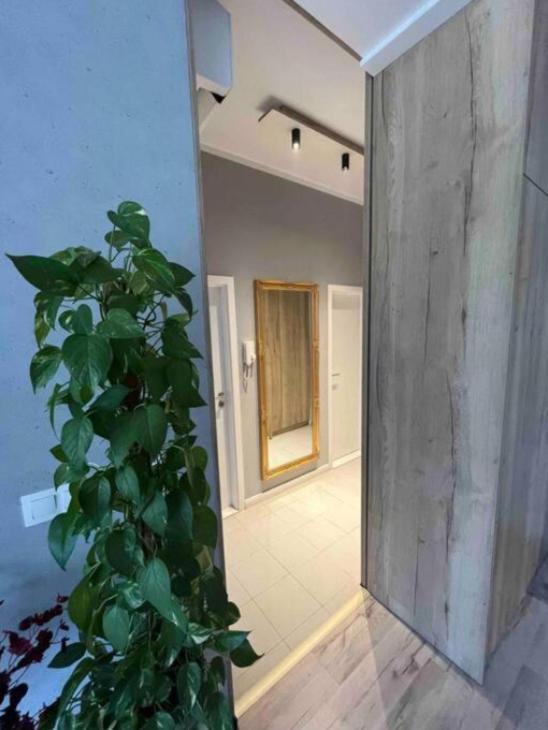 Cozy Apartment Bratislava Buitenkant foto